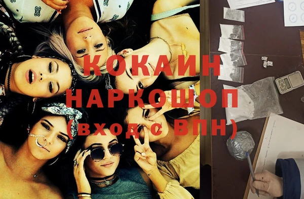 хмурый Белокуриха
