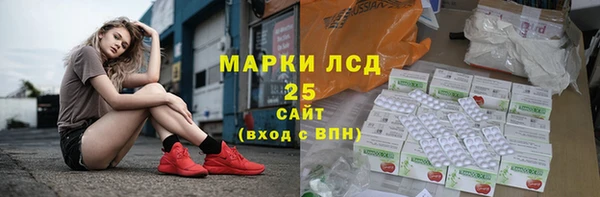 хмурый Белокуриха