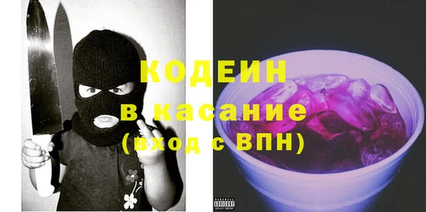хмурый Белокуриха