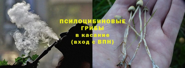 хмурый Белокуриха