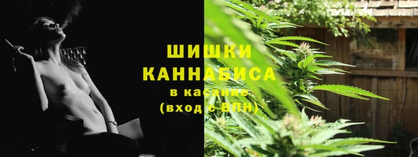 хмурый Белокуриха