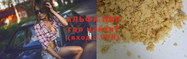 хмурый Белокуриха