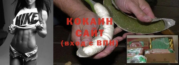 хмурый Белокуриха
