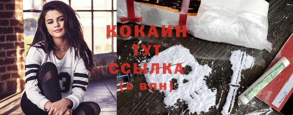 твердый Богородицк