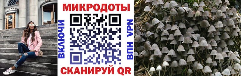 Купить  Новоалтайск  Галлюциногенные грибы мухоморы 